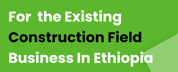 existing business in Ethiopia 